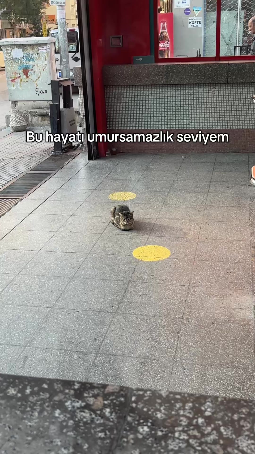 @nurrrr