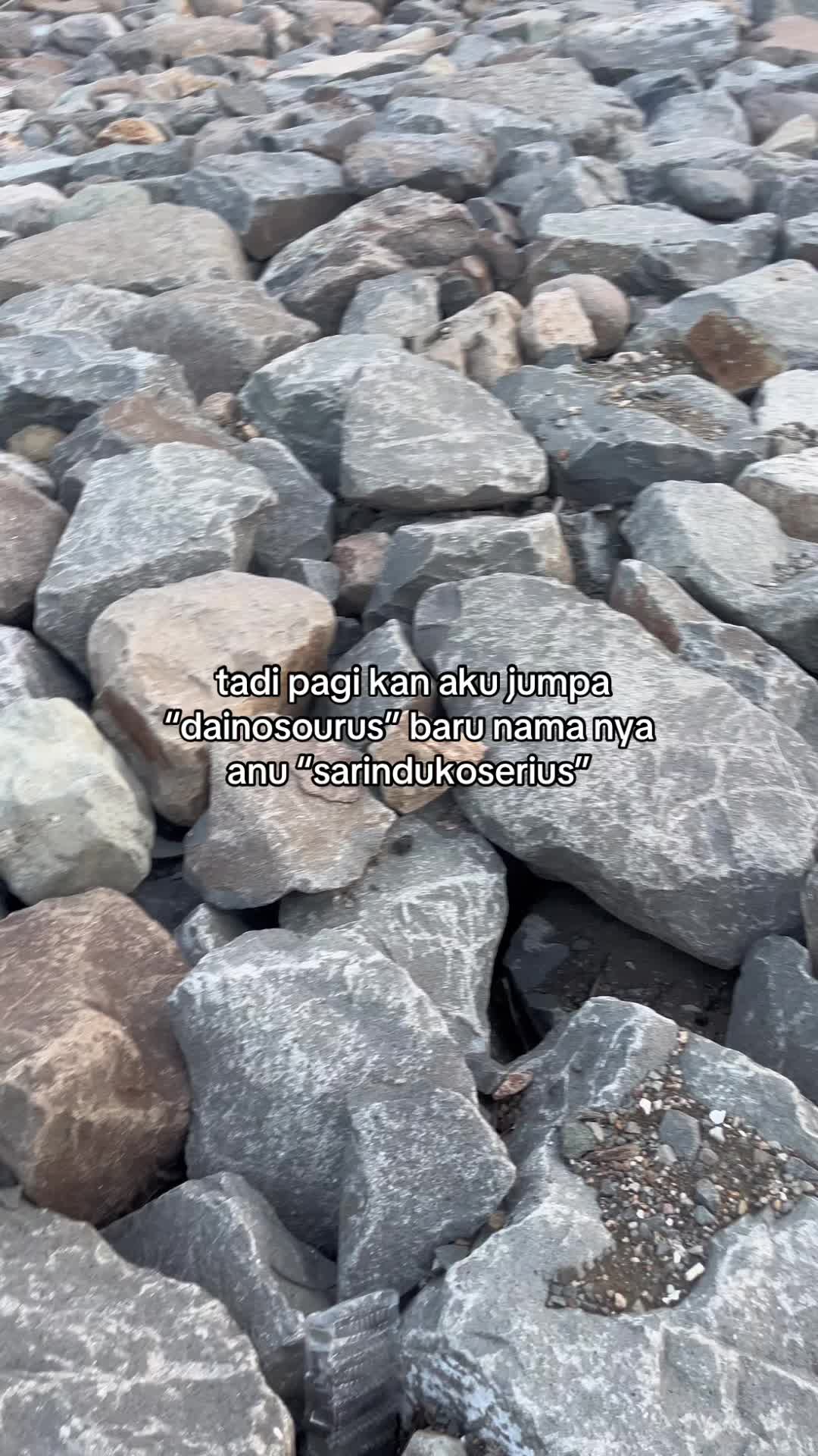 @๐ฒ๐๐ช๐ท ๏ฃฟ