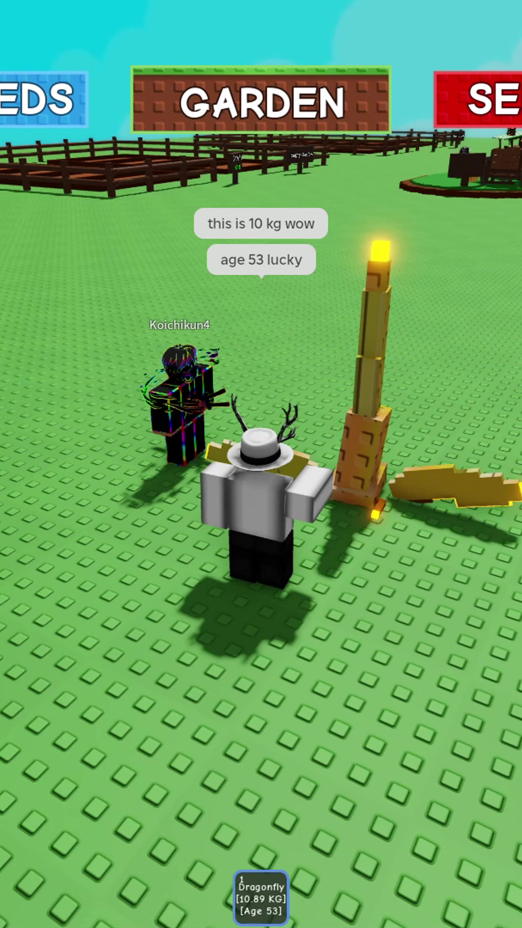 @Kerbian