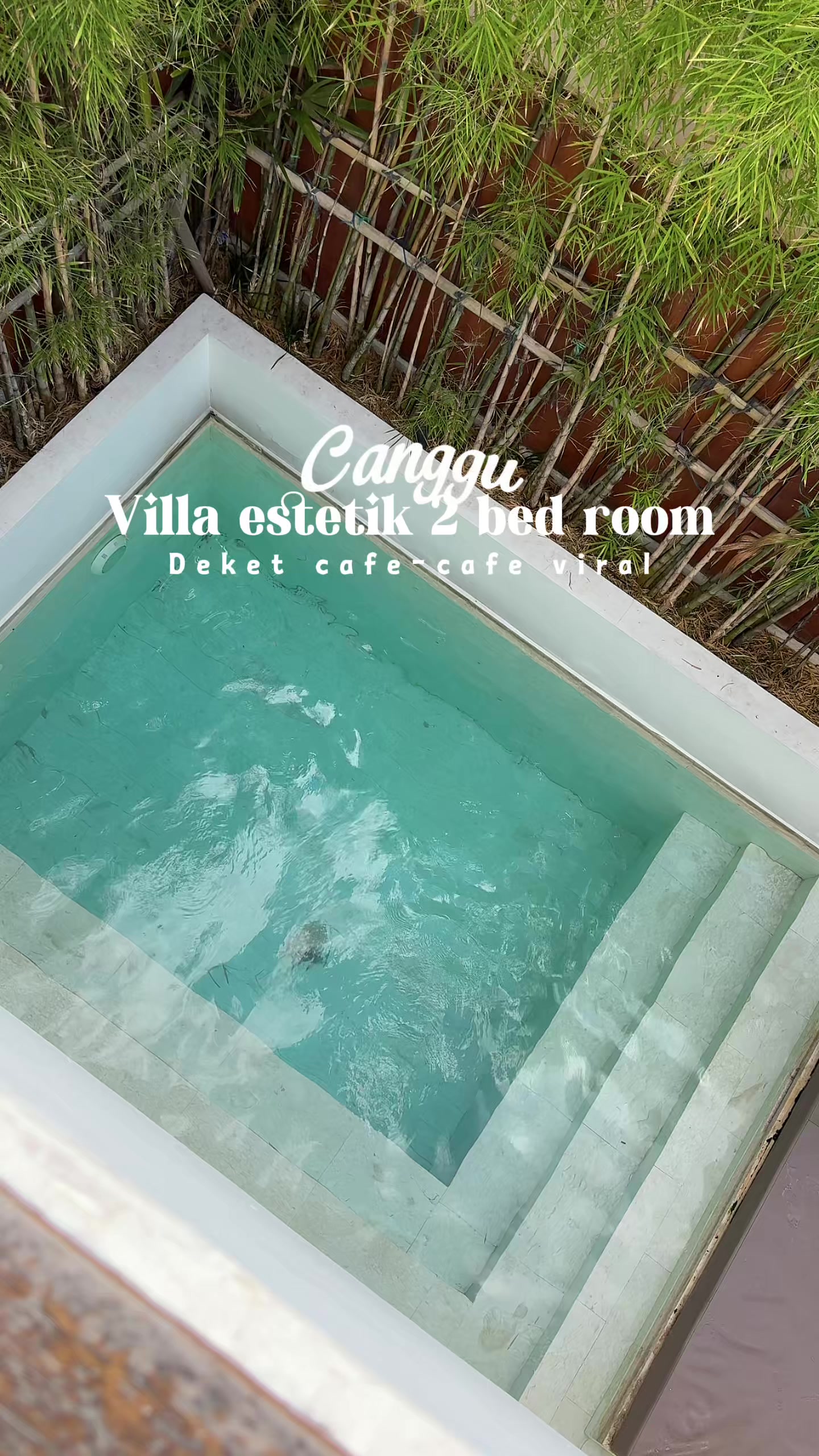@aie.licious || chillCation 🏖️