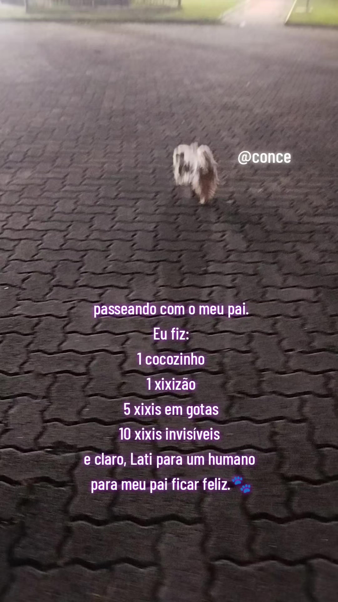 @Conce.britto