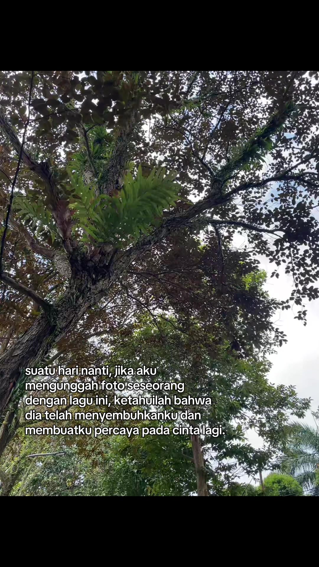 @ayippp