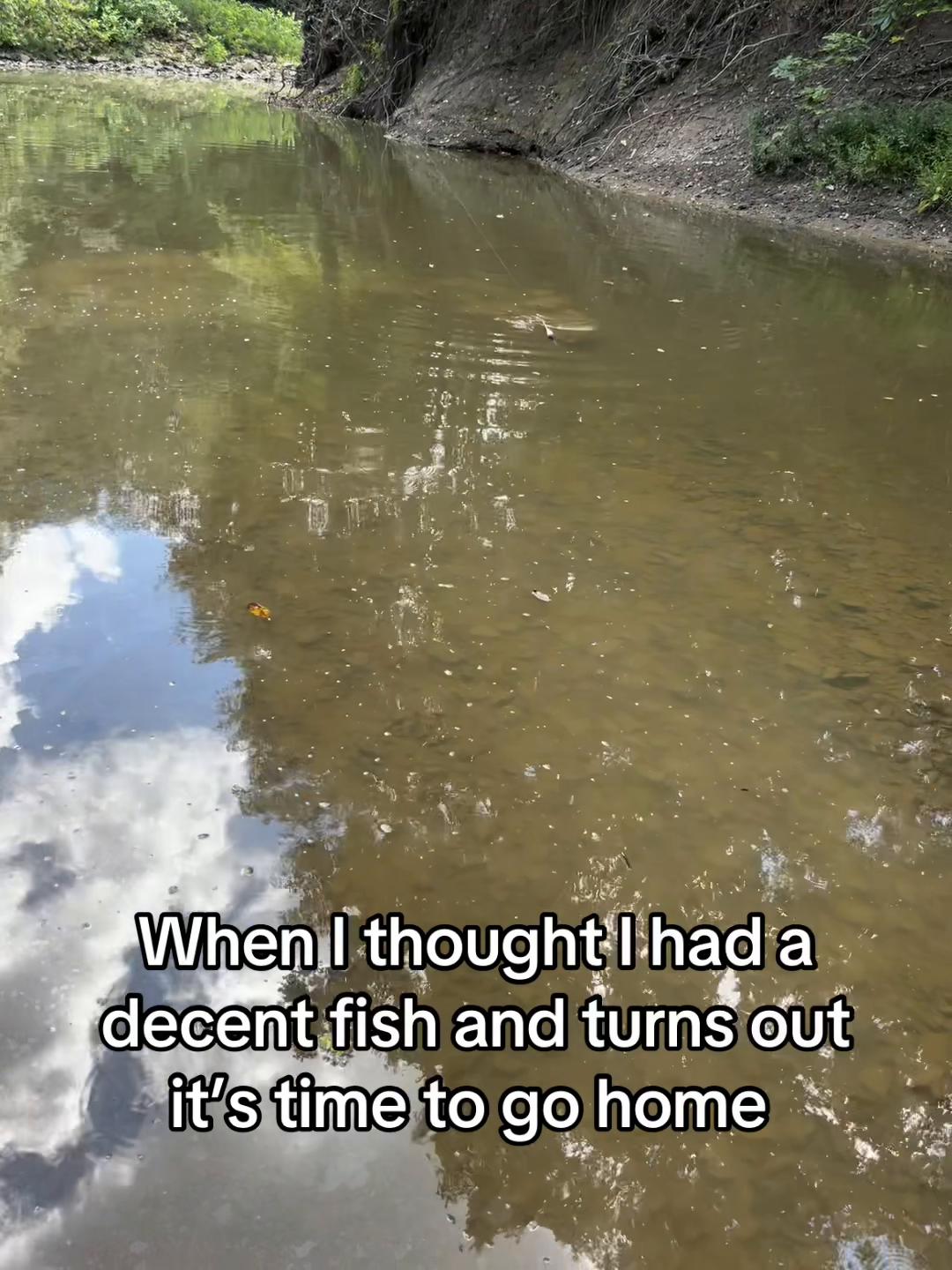@Ol’GusChiggins