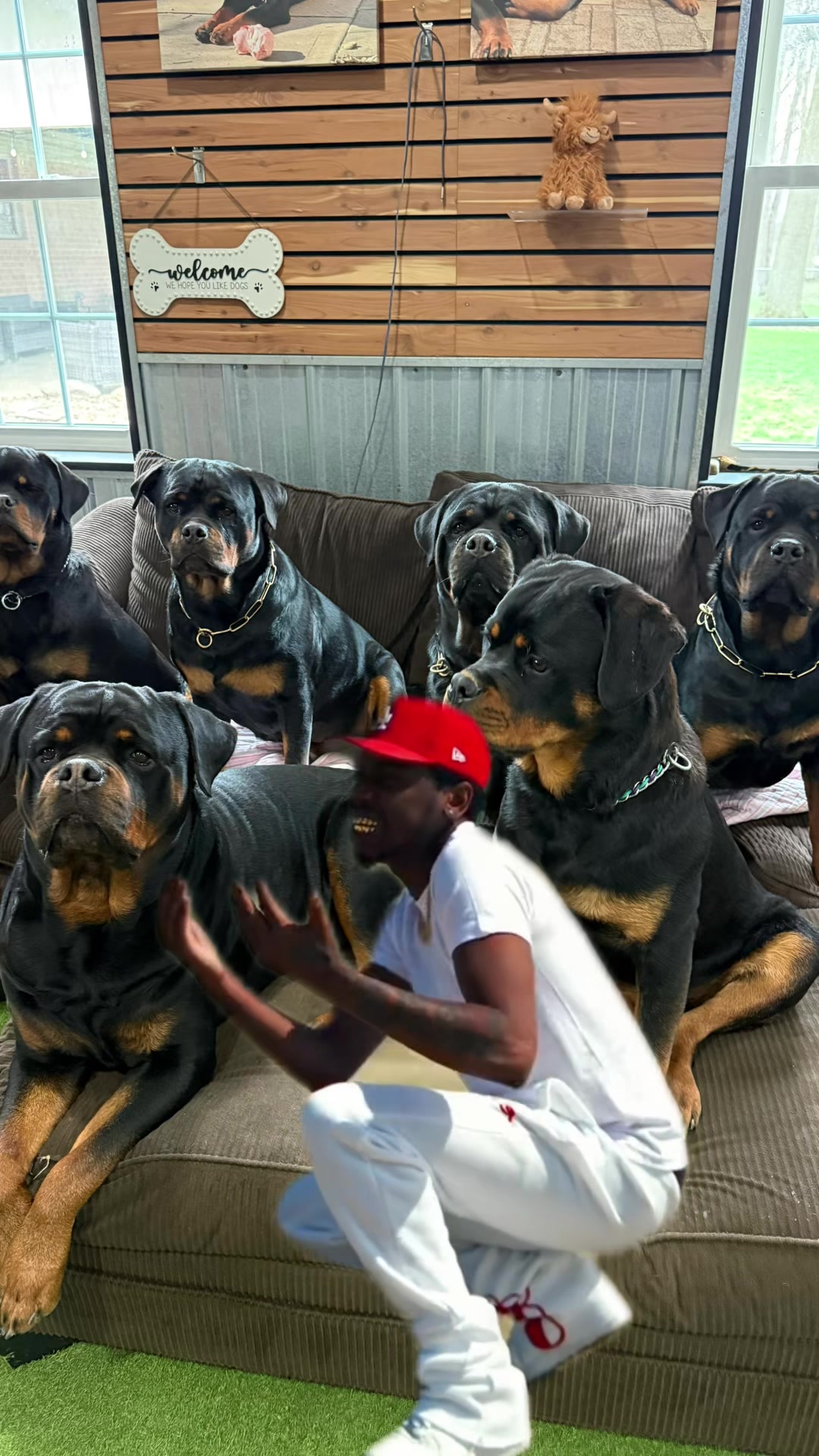@Buckeyerotts