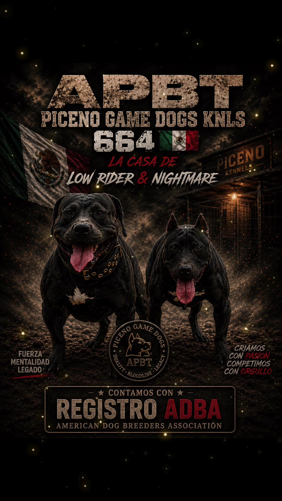 @APBT PICENO TIJUANA