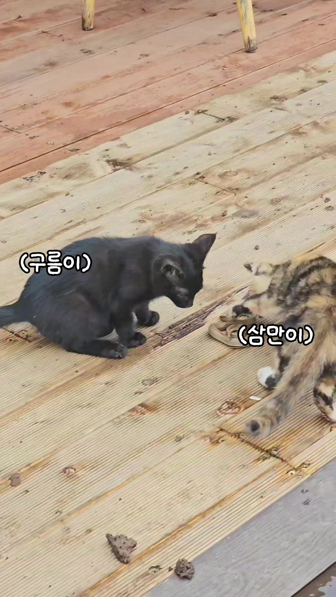 @🗺️김병만ByoungmanKim🗺️
