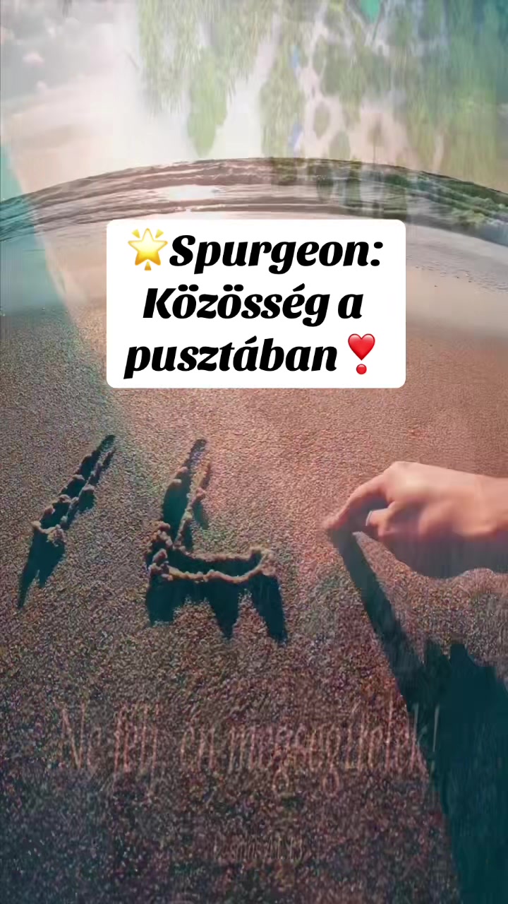 @Mónika Erős