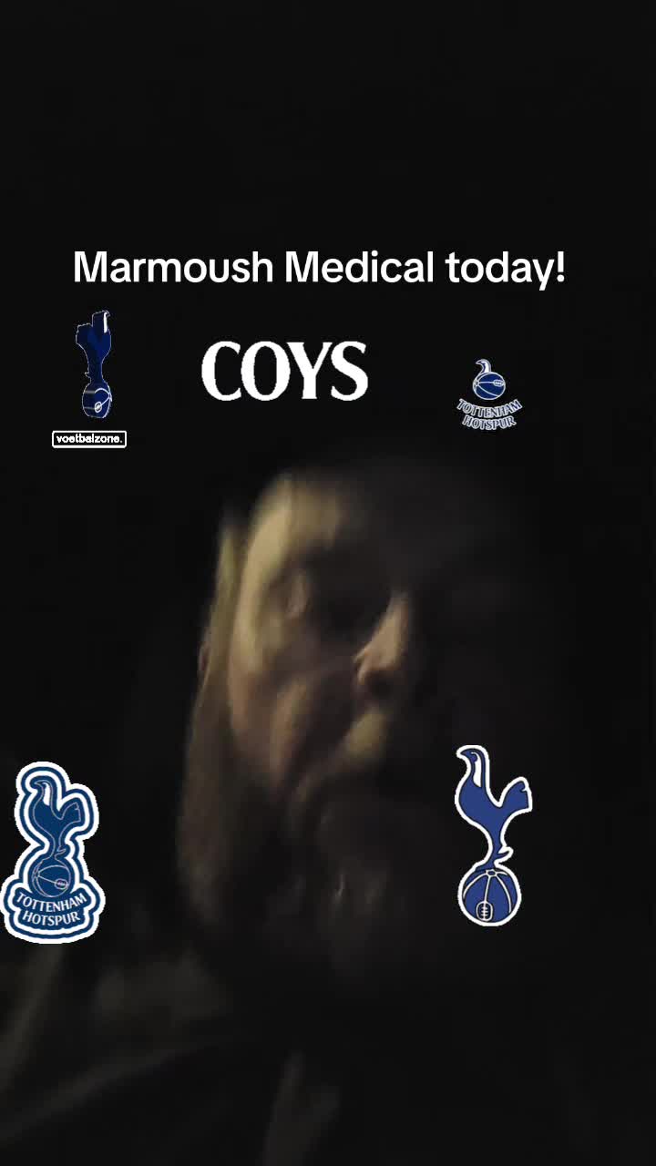 @bigdaddyofhotspurs❌️