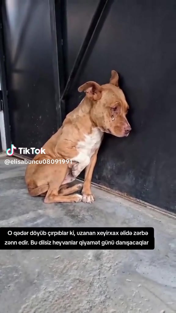 @Mehriban