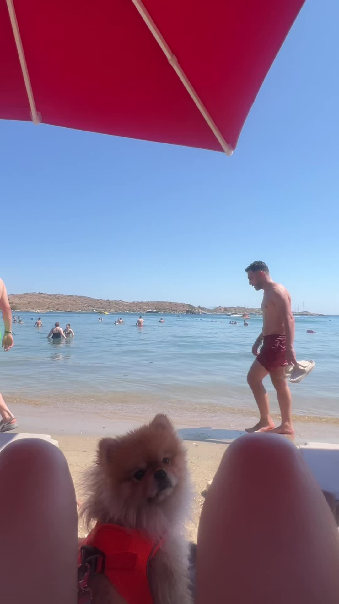 @Öykü
