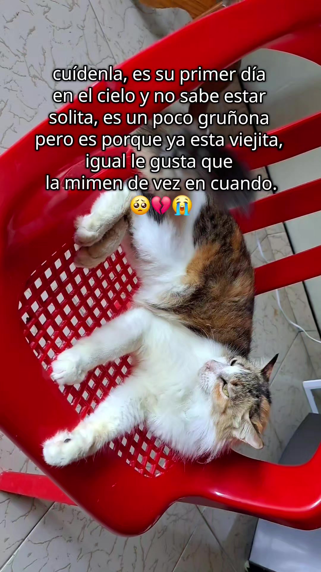 @Ander Herrera