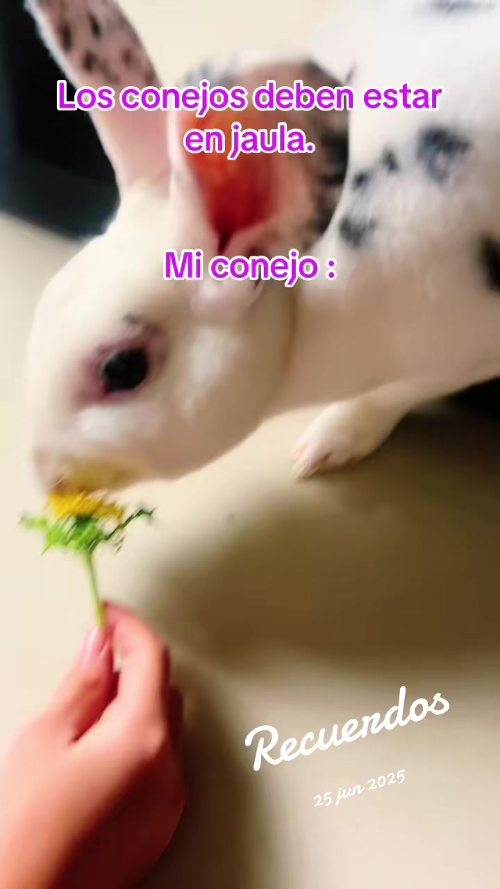 @Soy Luna