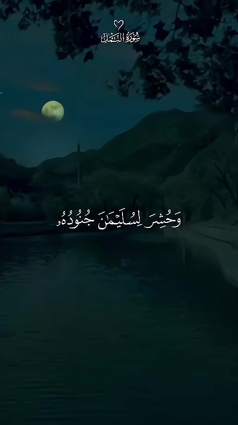 @◈ الشيخ محمود خليل الحصري ◈