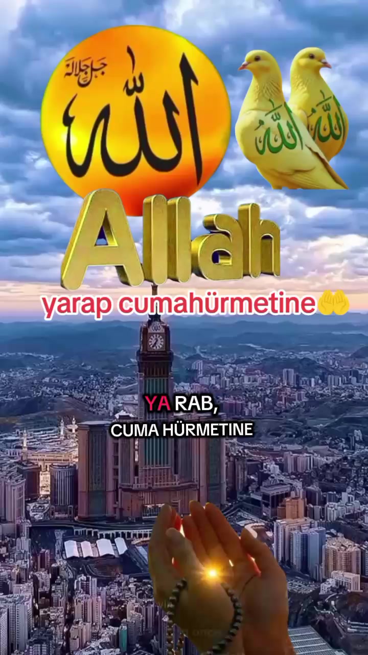 @🇹🇷Yasin Sapmaz🇹🇷