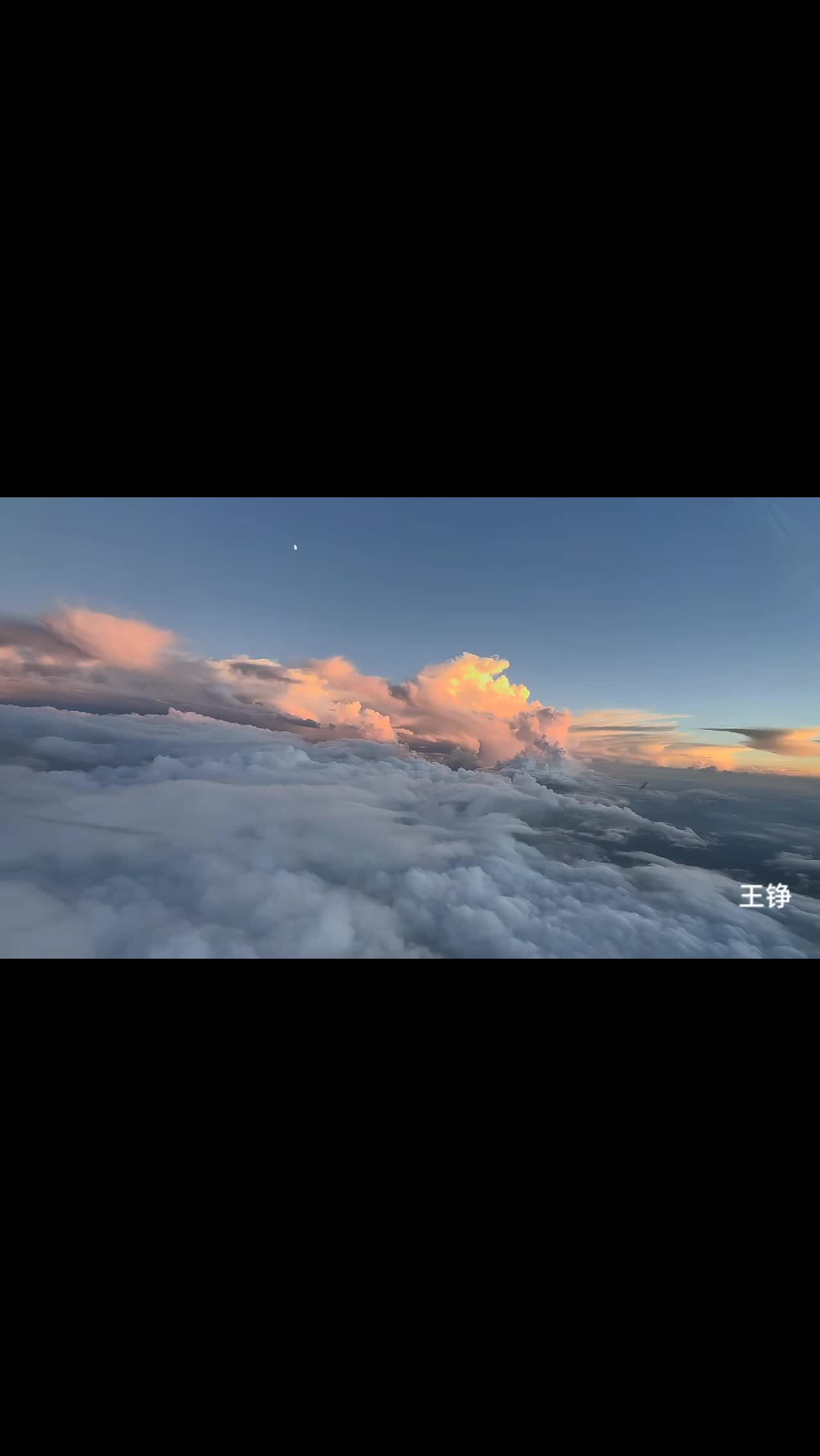 @186王铮