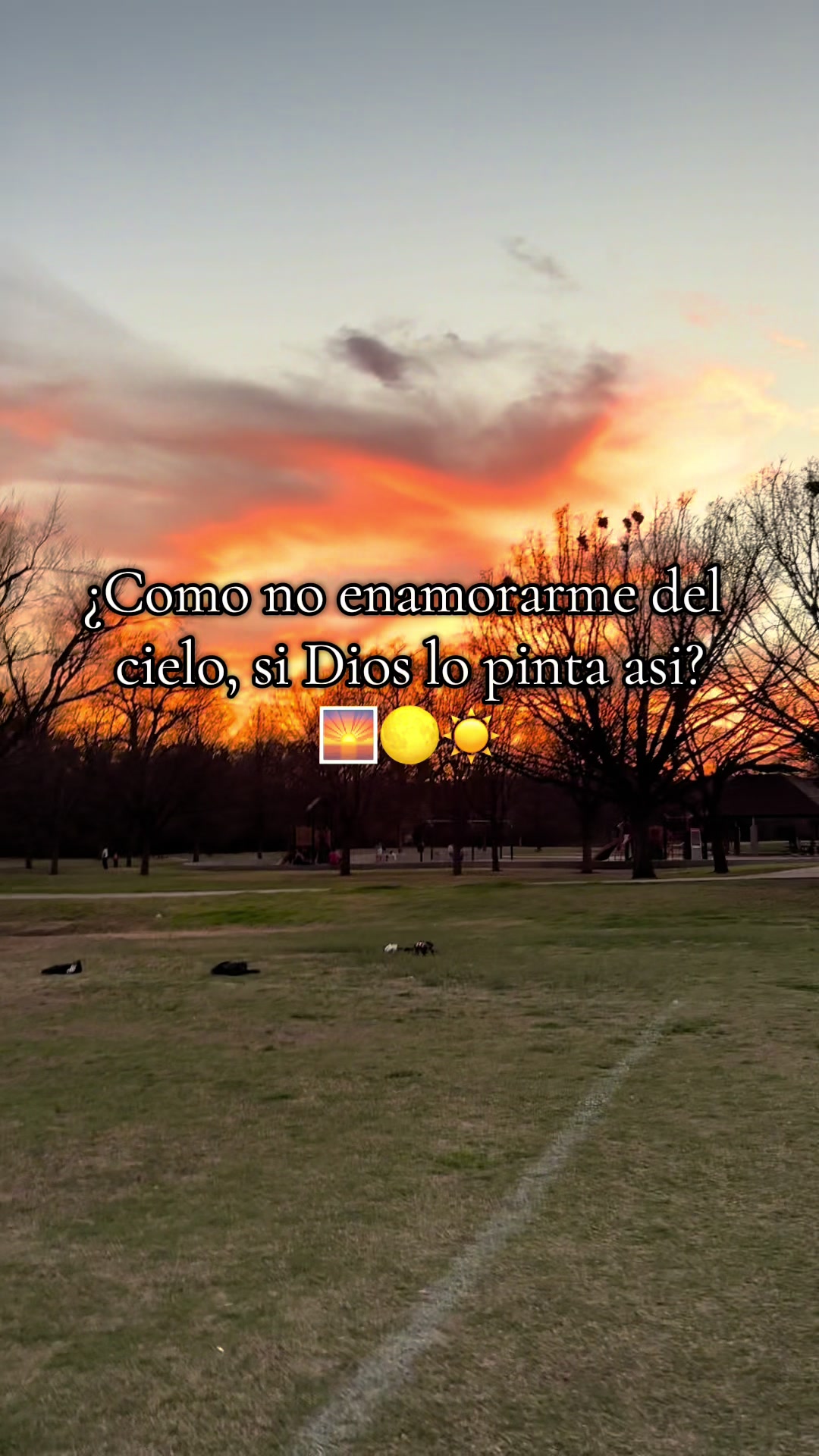 @Miguel de pa&uacute;l