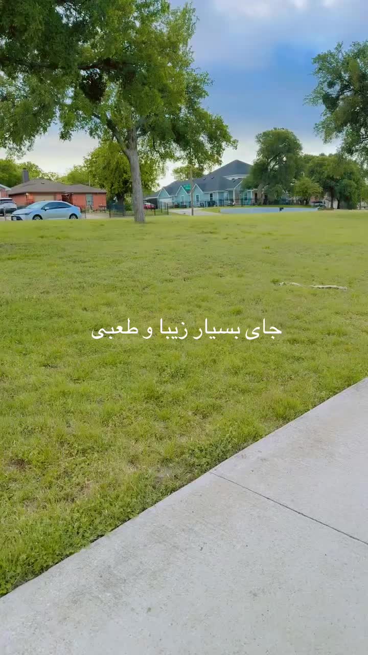 @Shir Baz