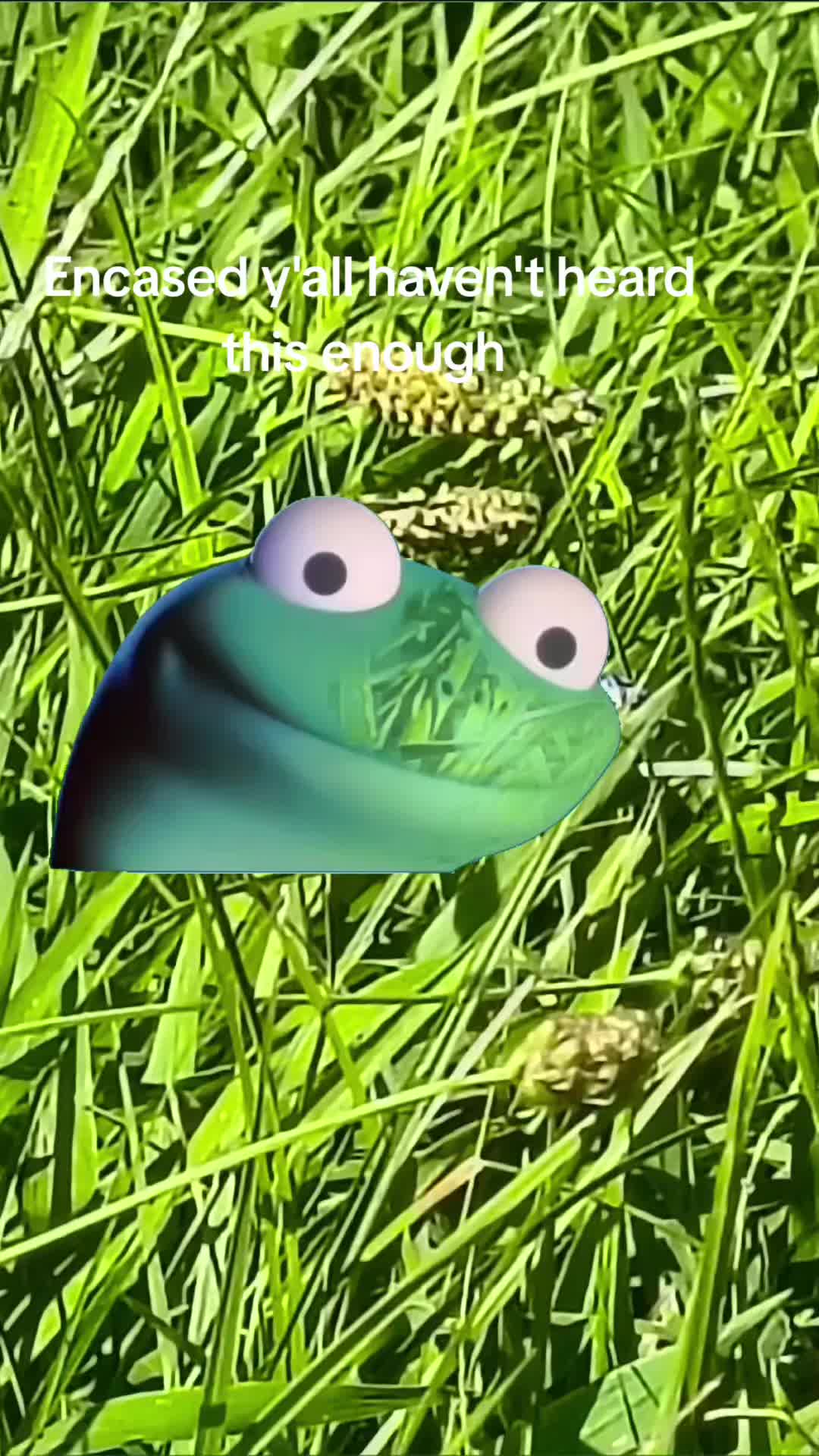 @katie⁷