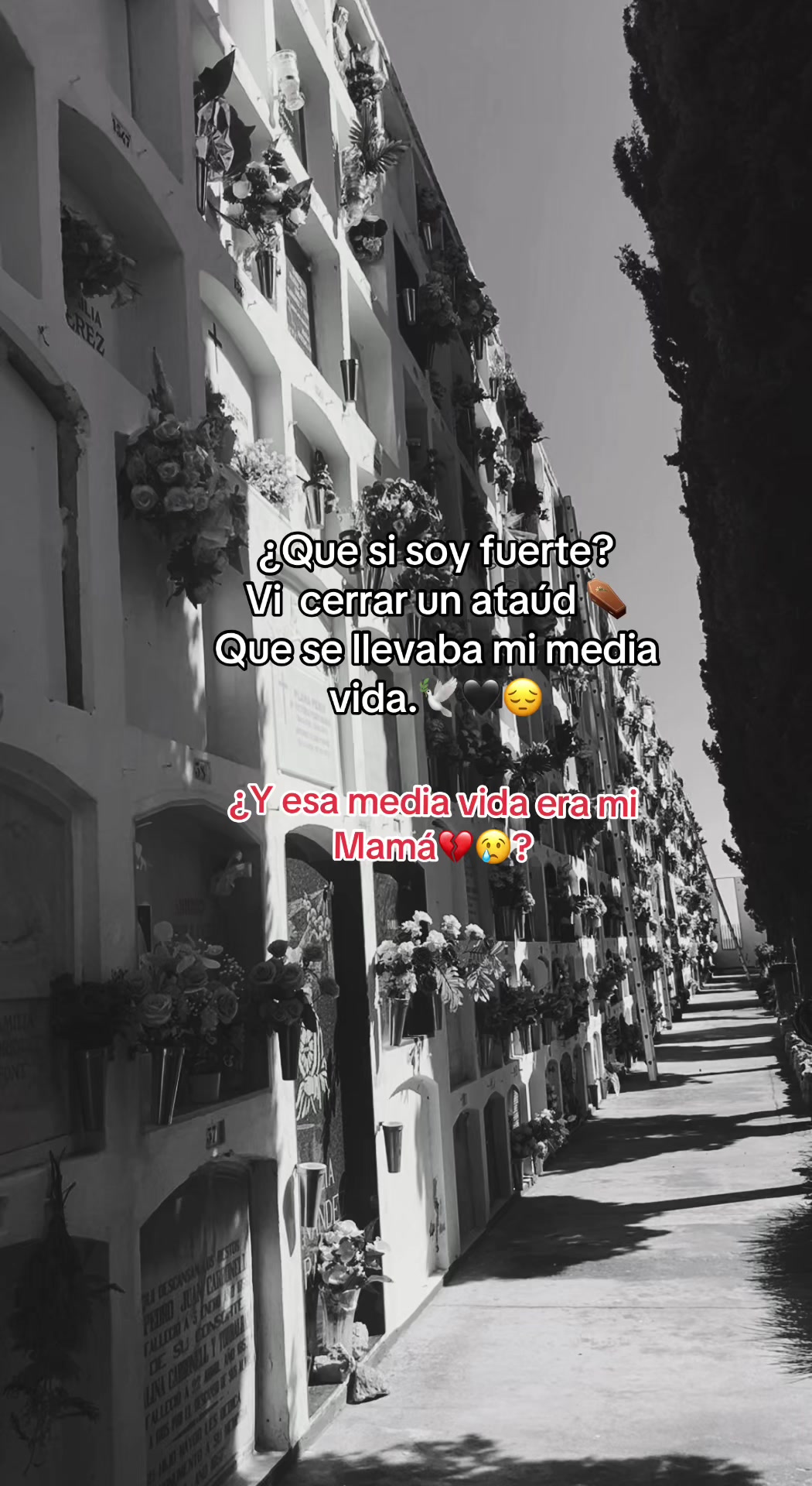 @La_solitaria🥀💔