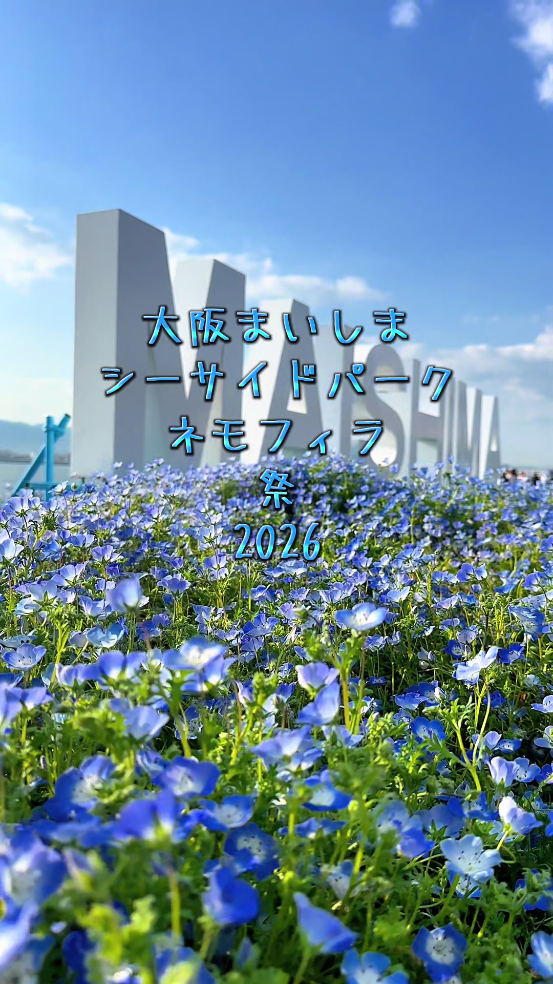 @トモヒサ🗾