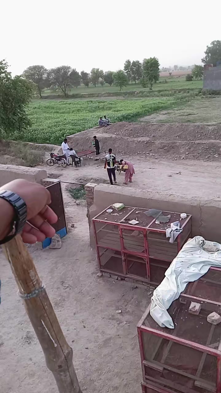 @mani Dogar 7/11