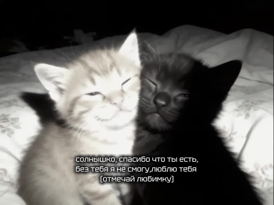 @𝚗𝚘𝚝𝚑𝚒𝚗𝚐𝚗𝚎𝚜𝚜