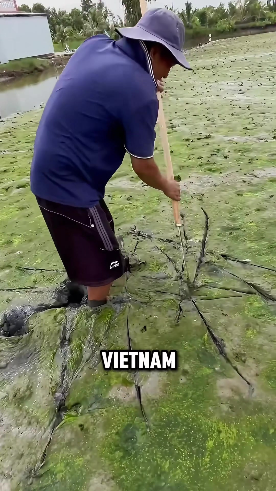 @militarybird