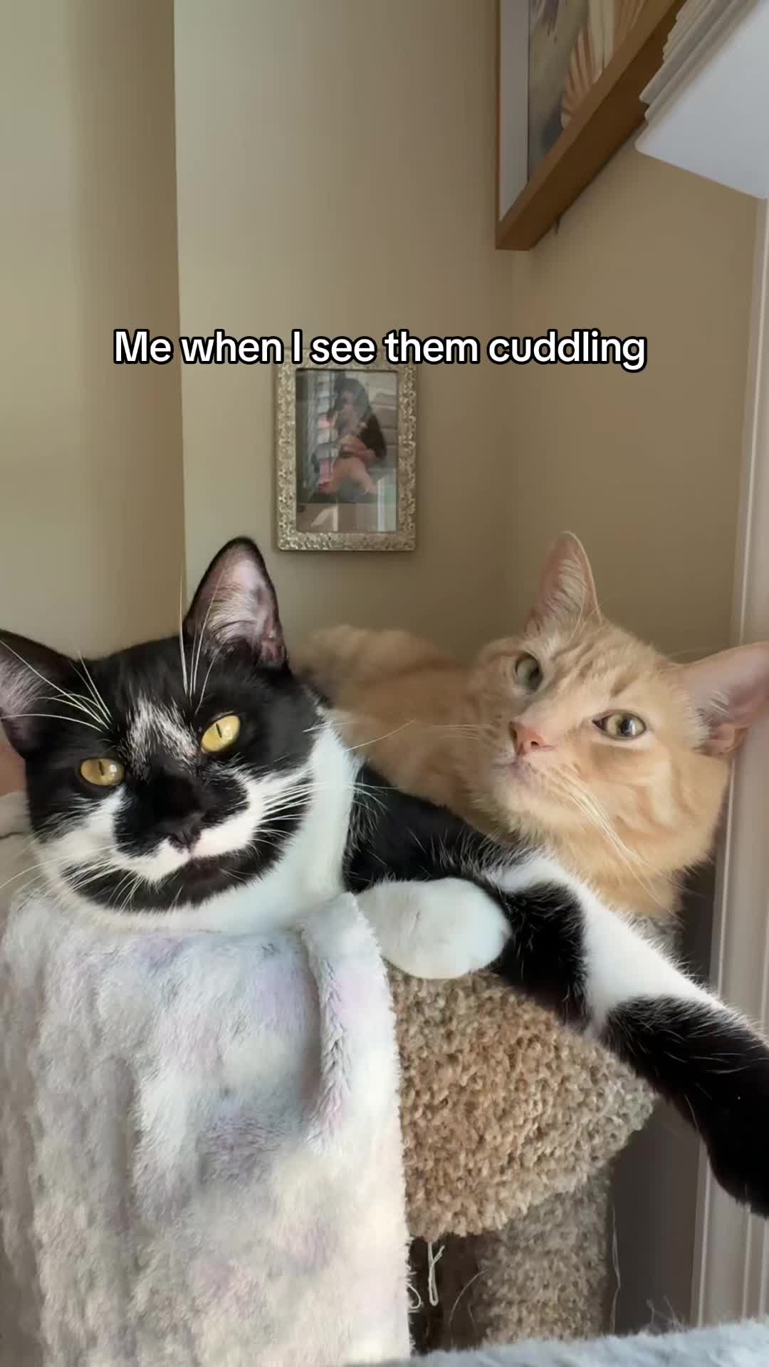 @Kat