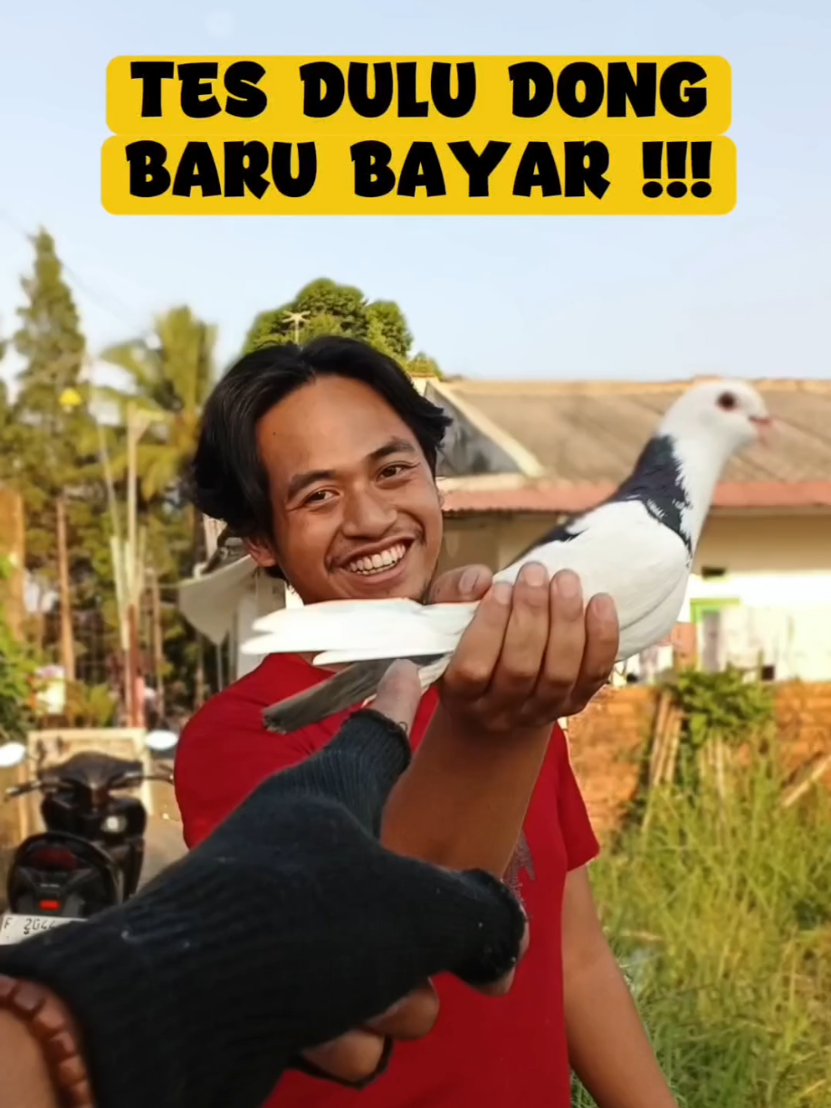 @BANG LEYON