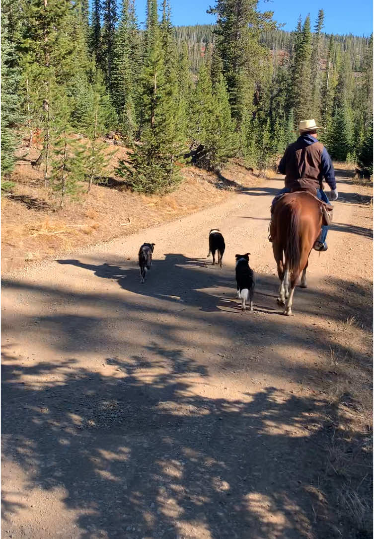 @Cowboytok