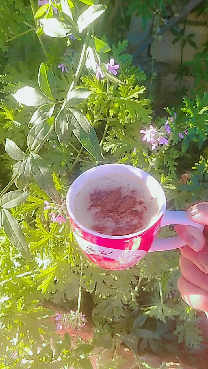 @عازفة الأمل