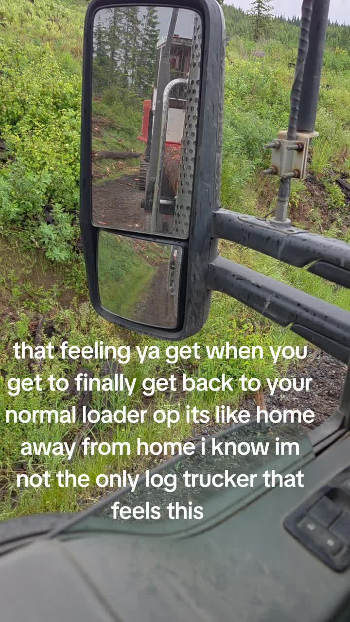 @wolf_of_odin_gaming_logtrucker
