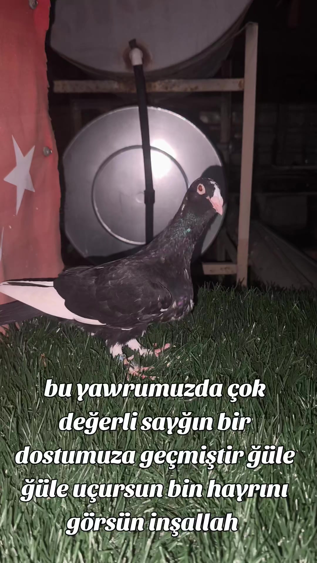 @0163Adanabatarkusu_federasyonu