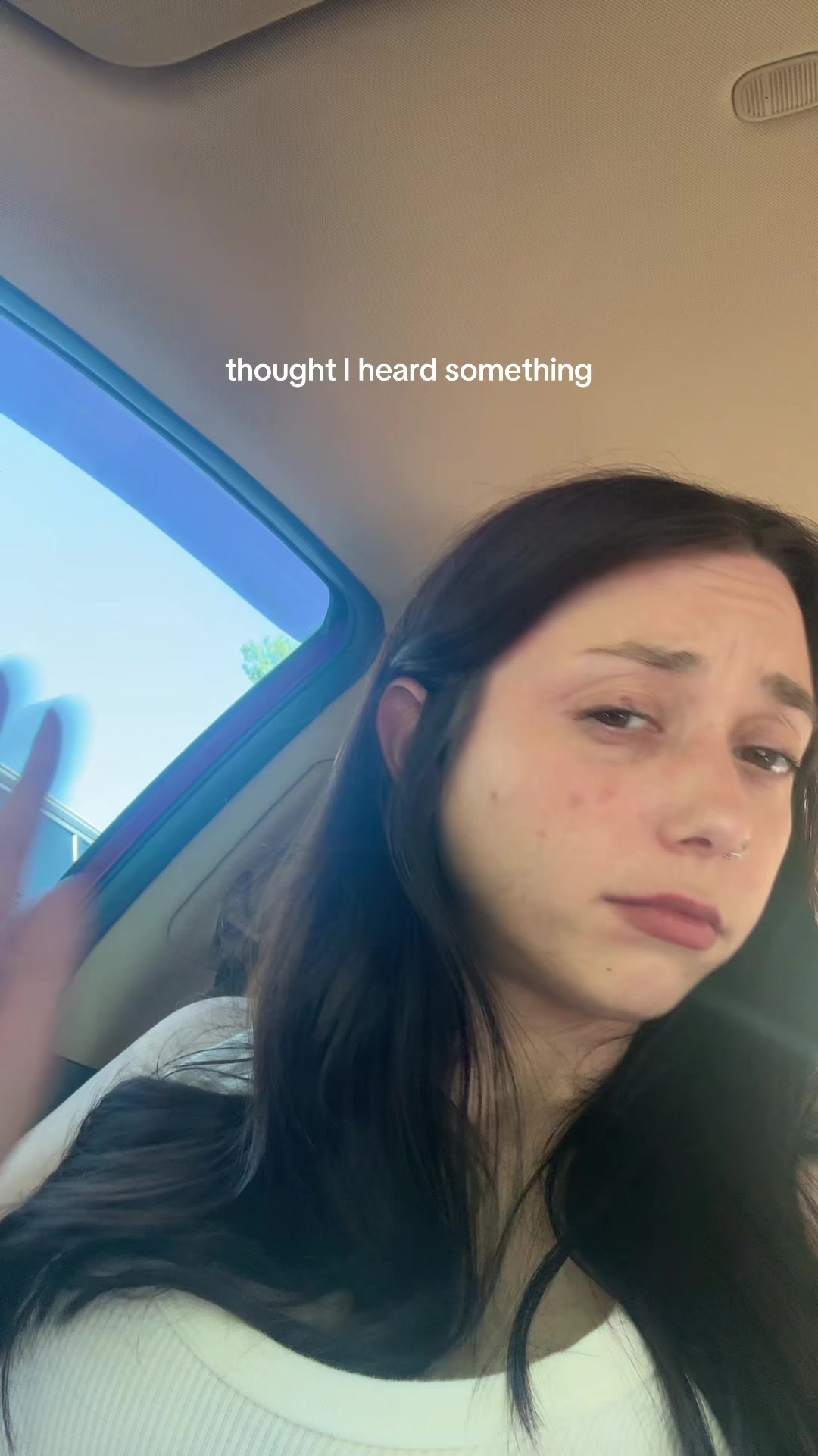 @briconatorfries