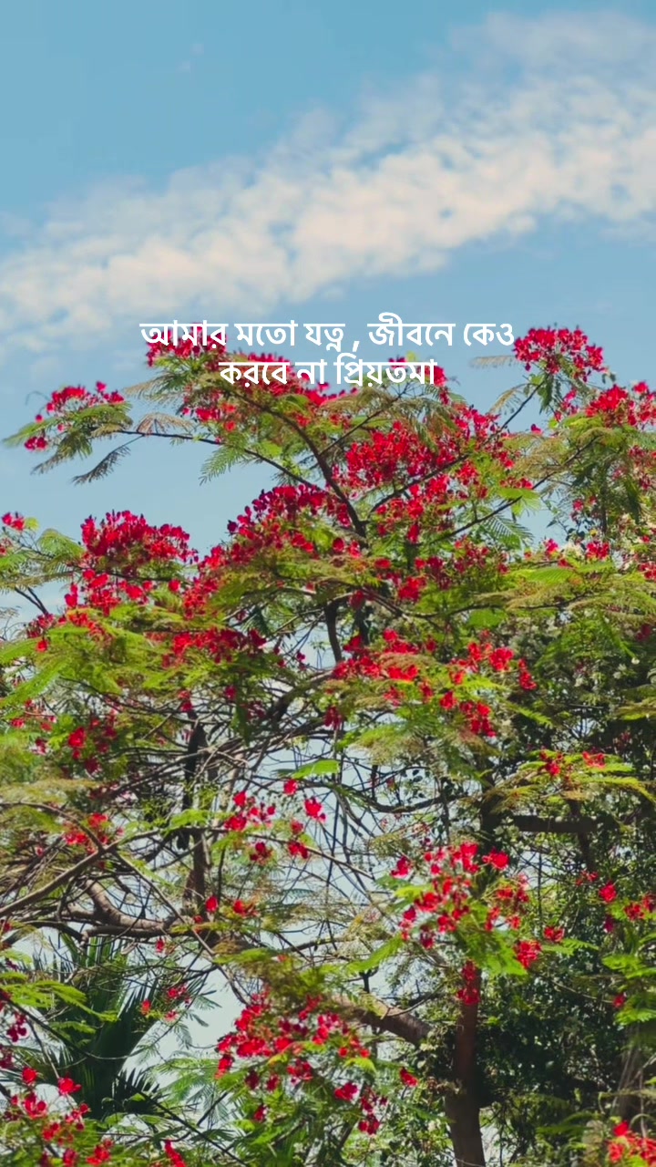 @đ¨âī¸ErfanđŽâī¸