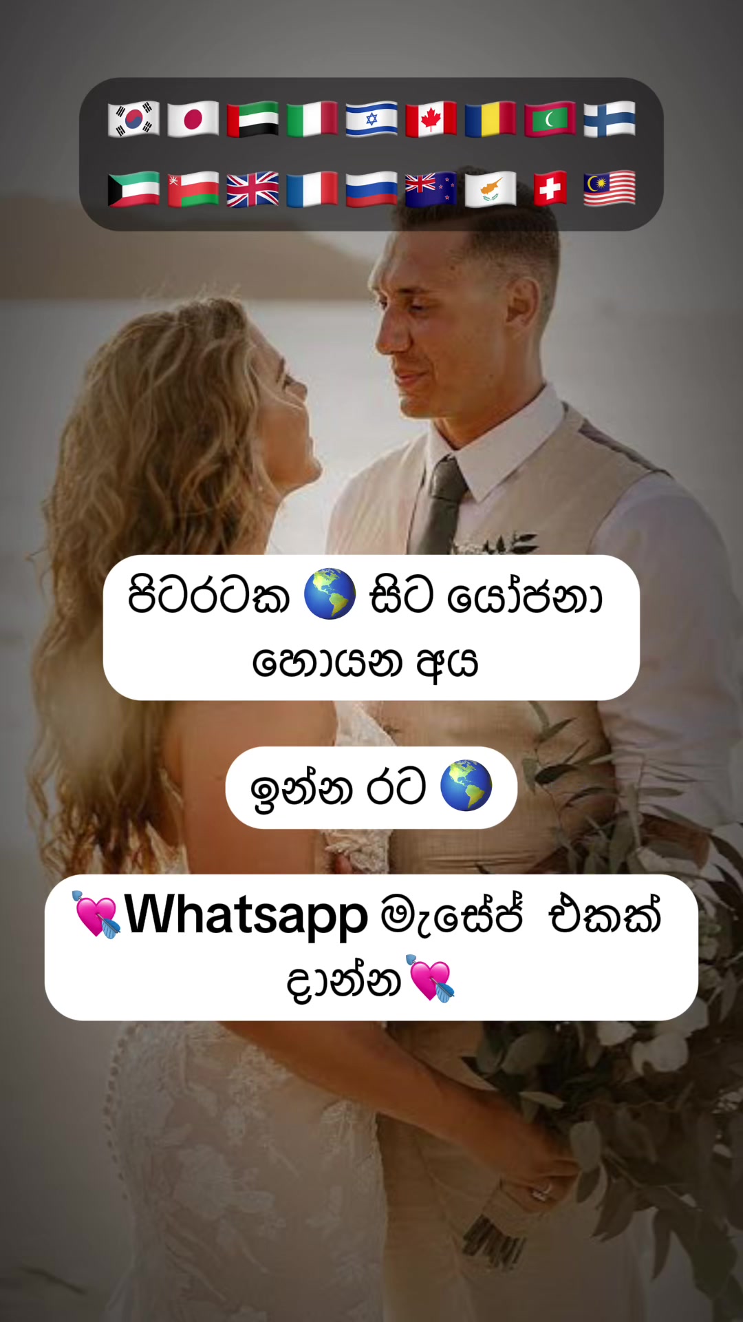 @🌸 LOVE BLOSSOMS 🌸