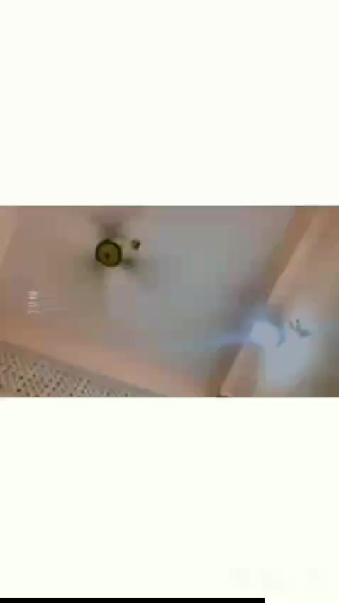 @ossoDanger313