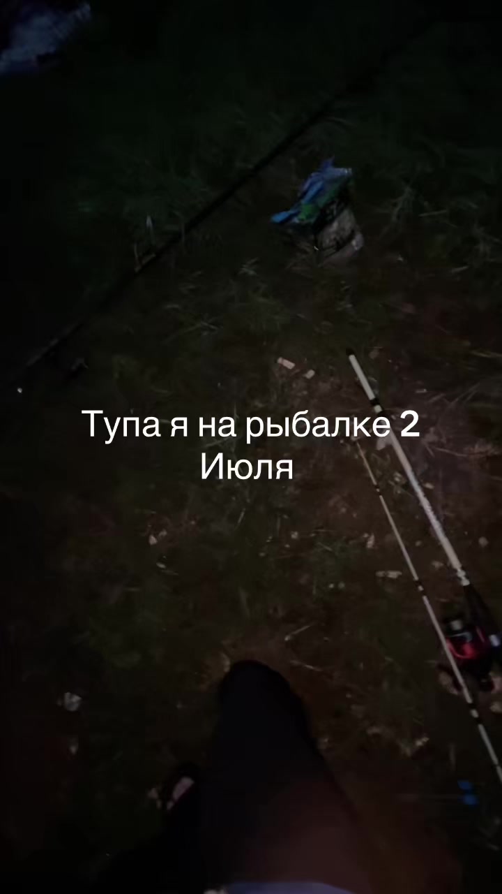 @$ofa_Kitty