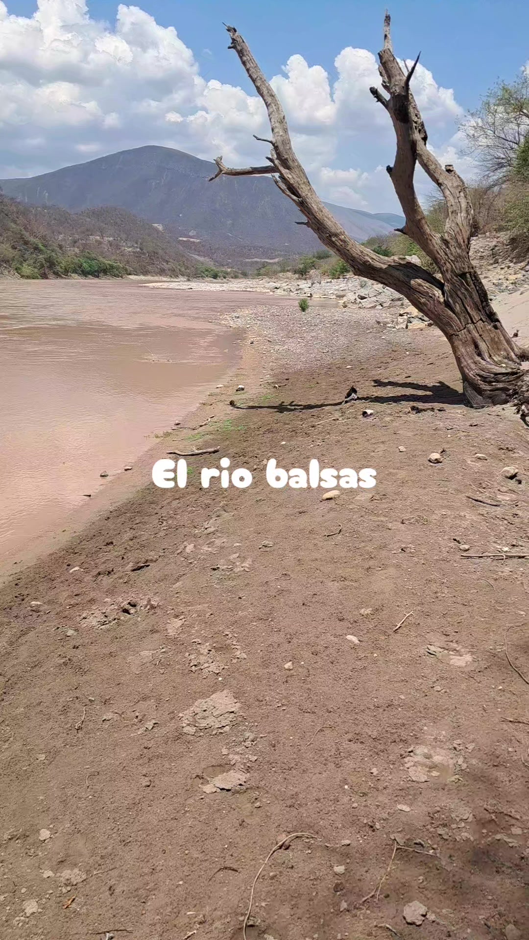 @Rojas Ely
