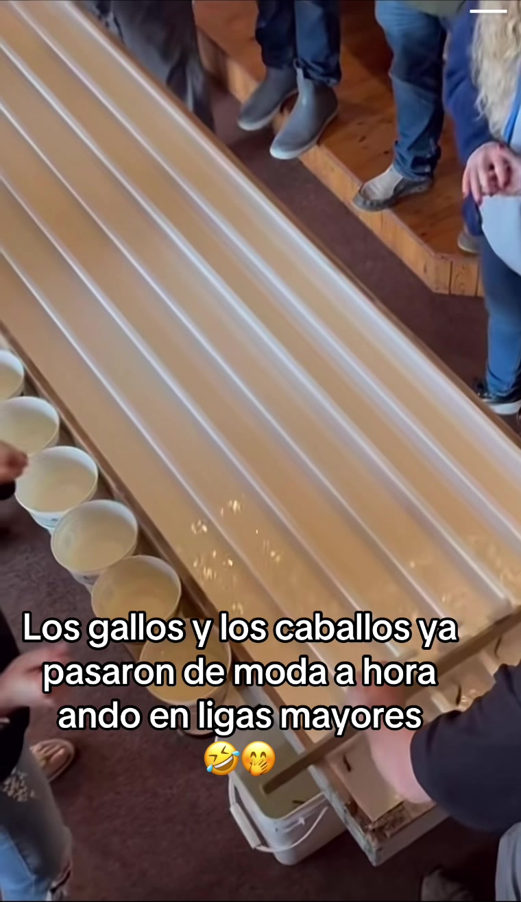 @El chavez ๐โ๐ป
