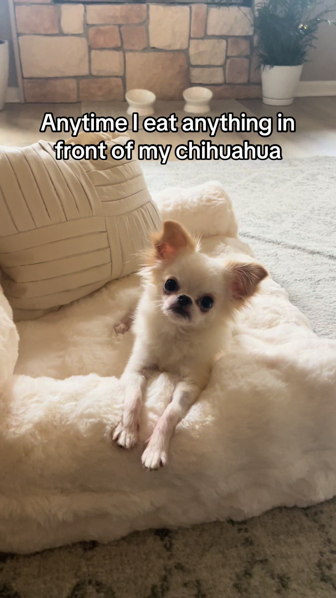 @Stuey & Louie