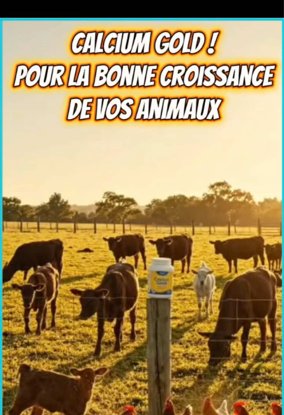 @Sambla Farming
