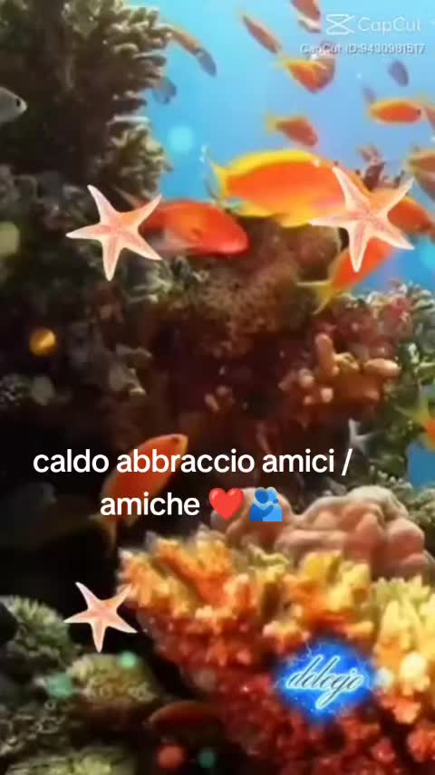 @Silvyia0244