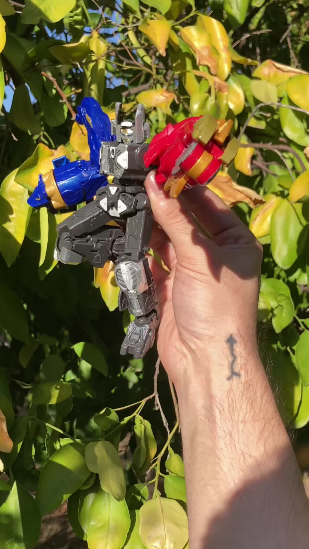 @Tokuasmr