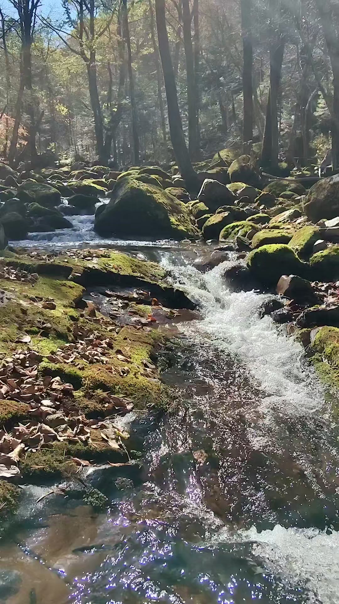 @Яна