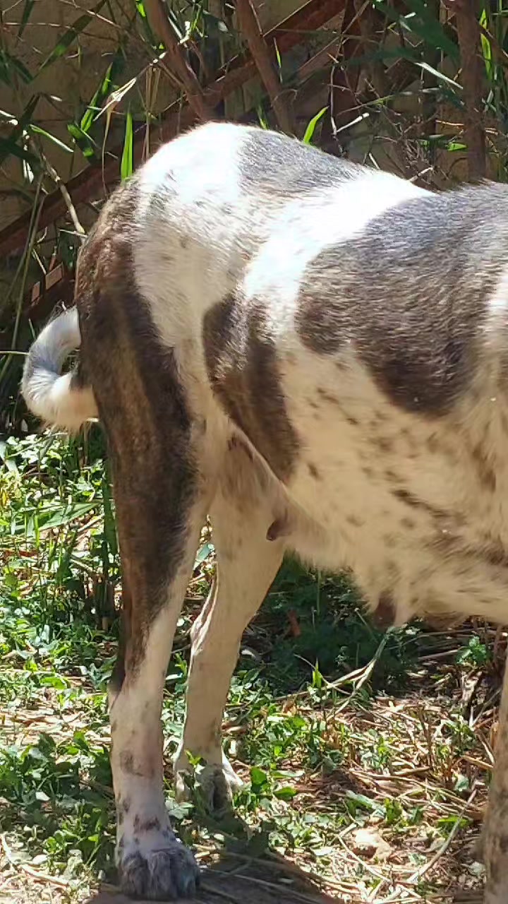 @Elşad__007