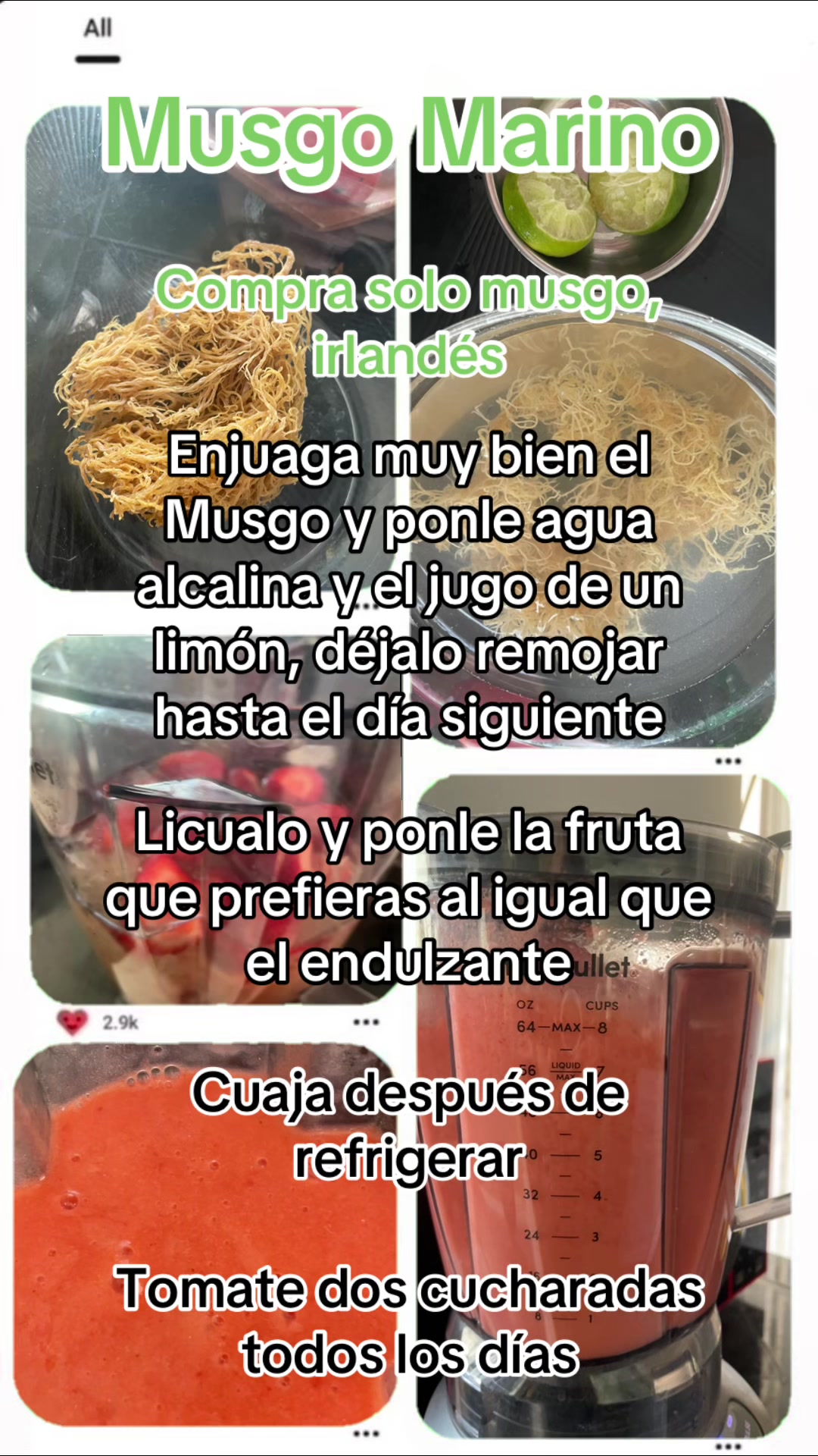 @ᑭOᖇTᗩᒪ Oᖴ EᔕᔕEᑎTIᗩᒪ ᒪIGᕼT