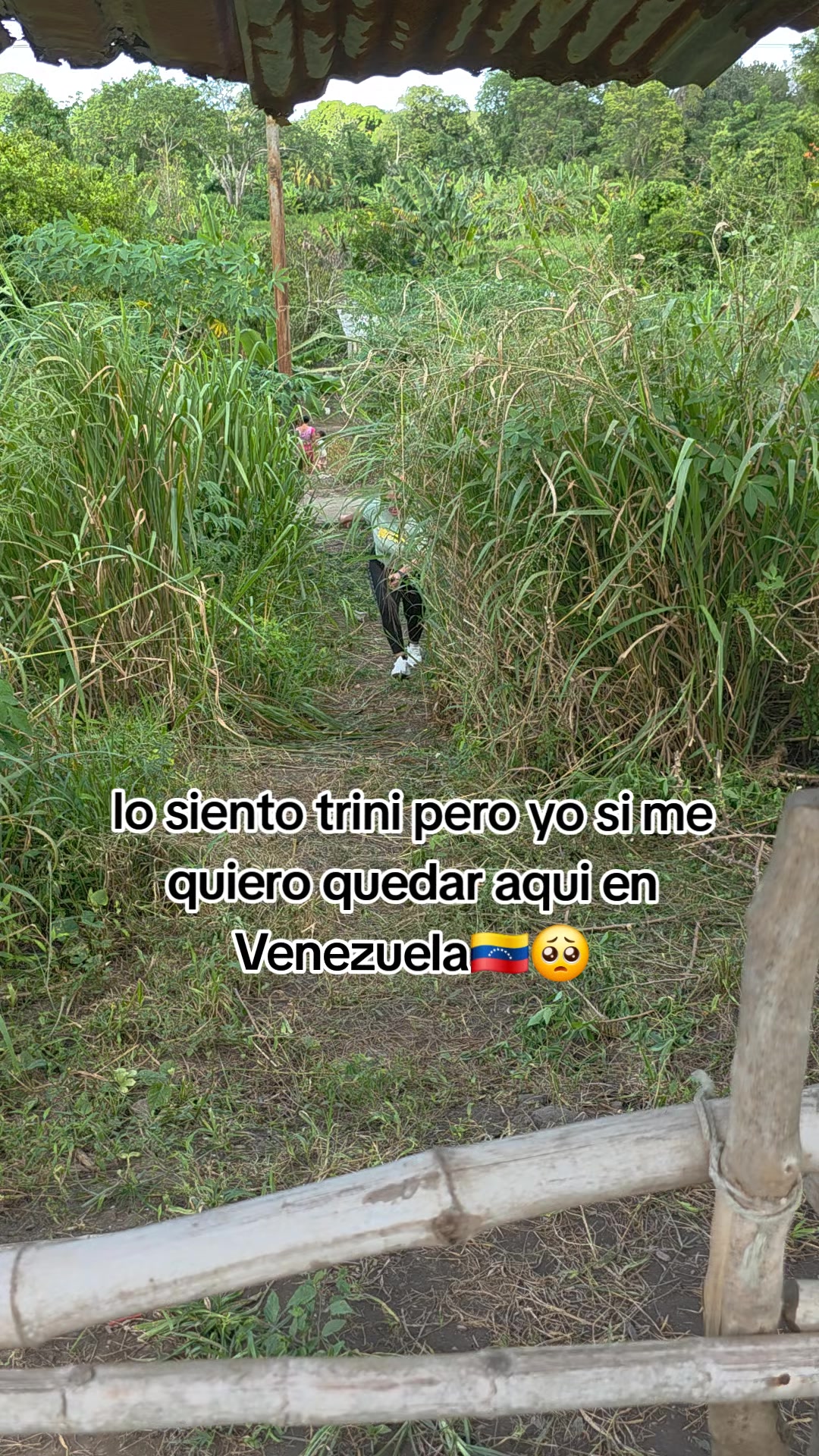 @Dayana