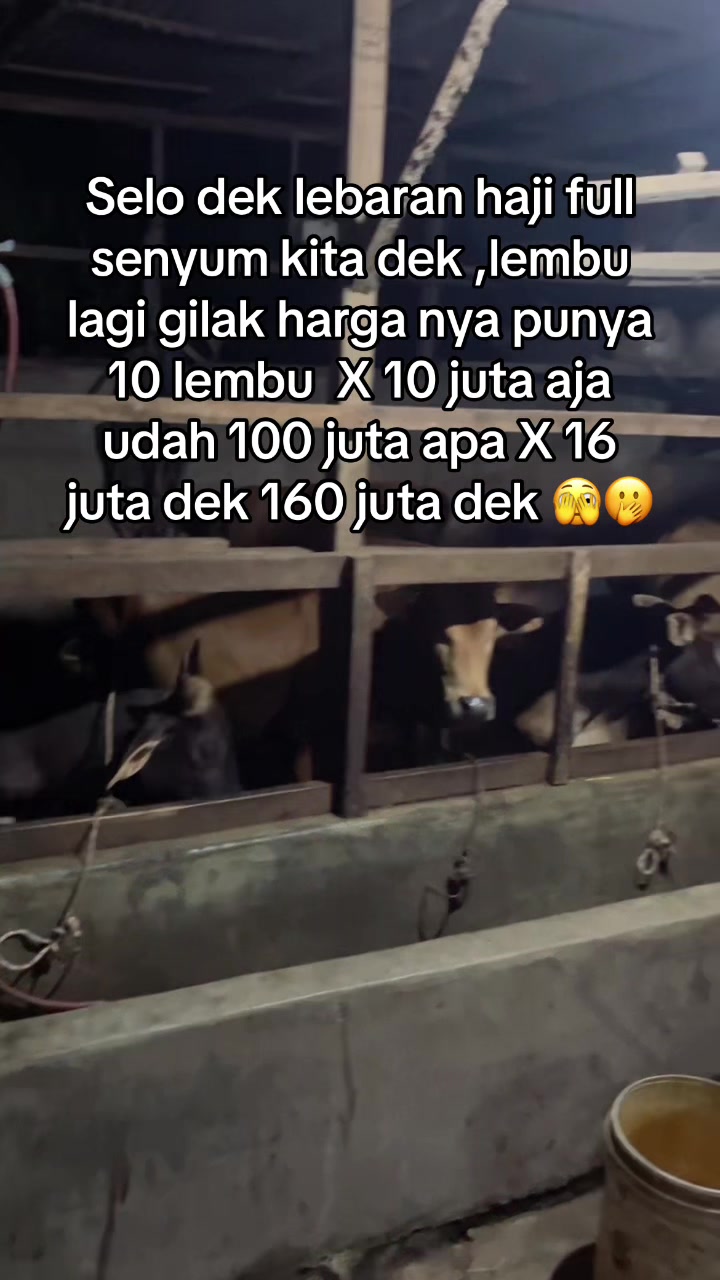 @Tigaan itam manis 🔥