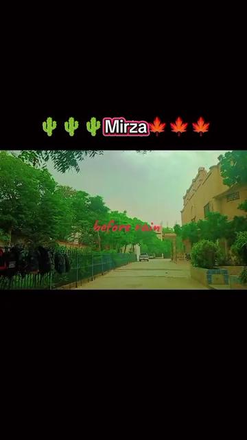 @miss mirza